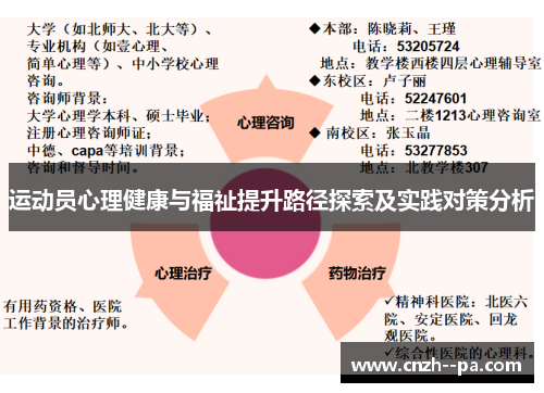 运动员心理健康与福祉提升路径探索及实践对策分析